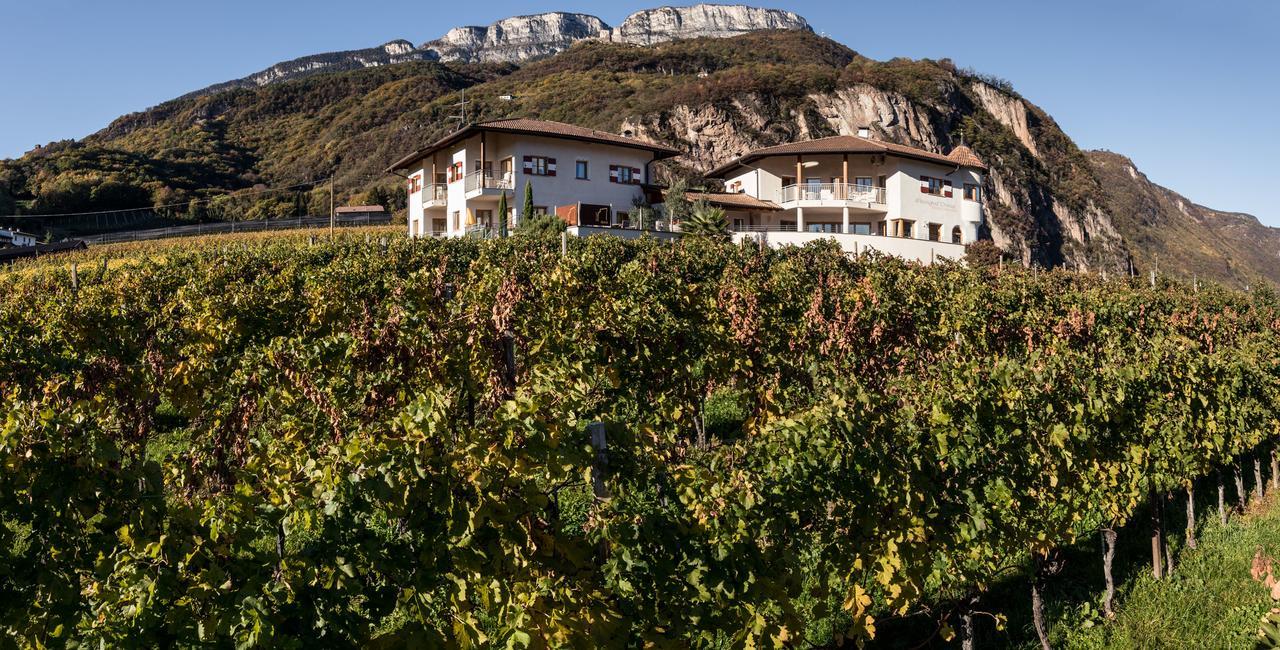 Weingut Dona Villa Апиано сула Страда дел Вино Екстериор снимка