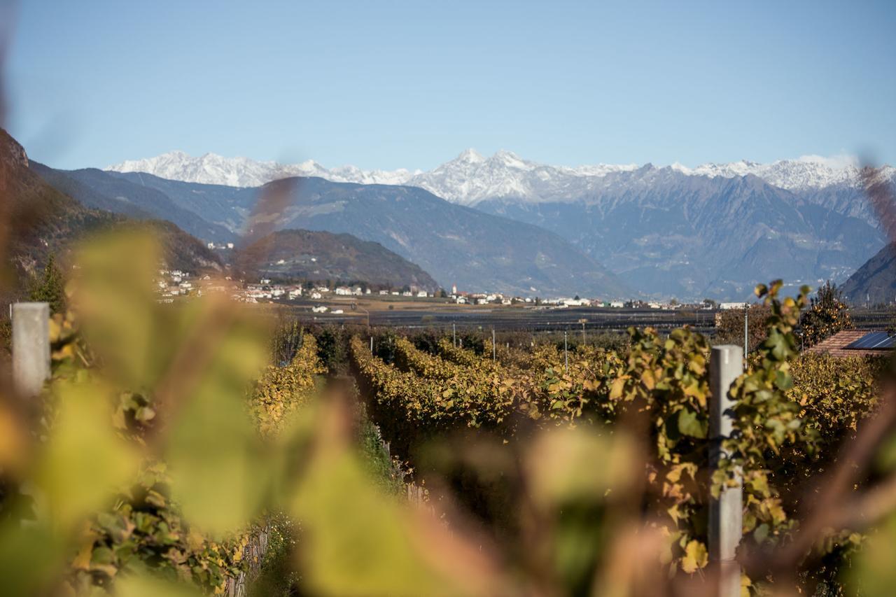 Weingut Dona Villa Апиано сула Страда дел Вино Екстериор снимка